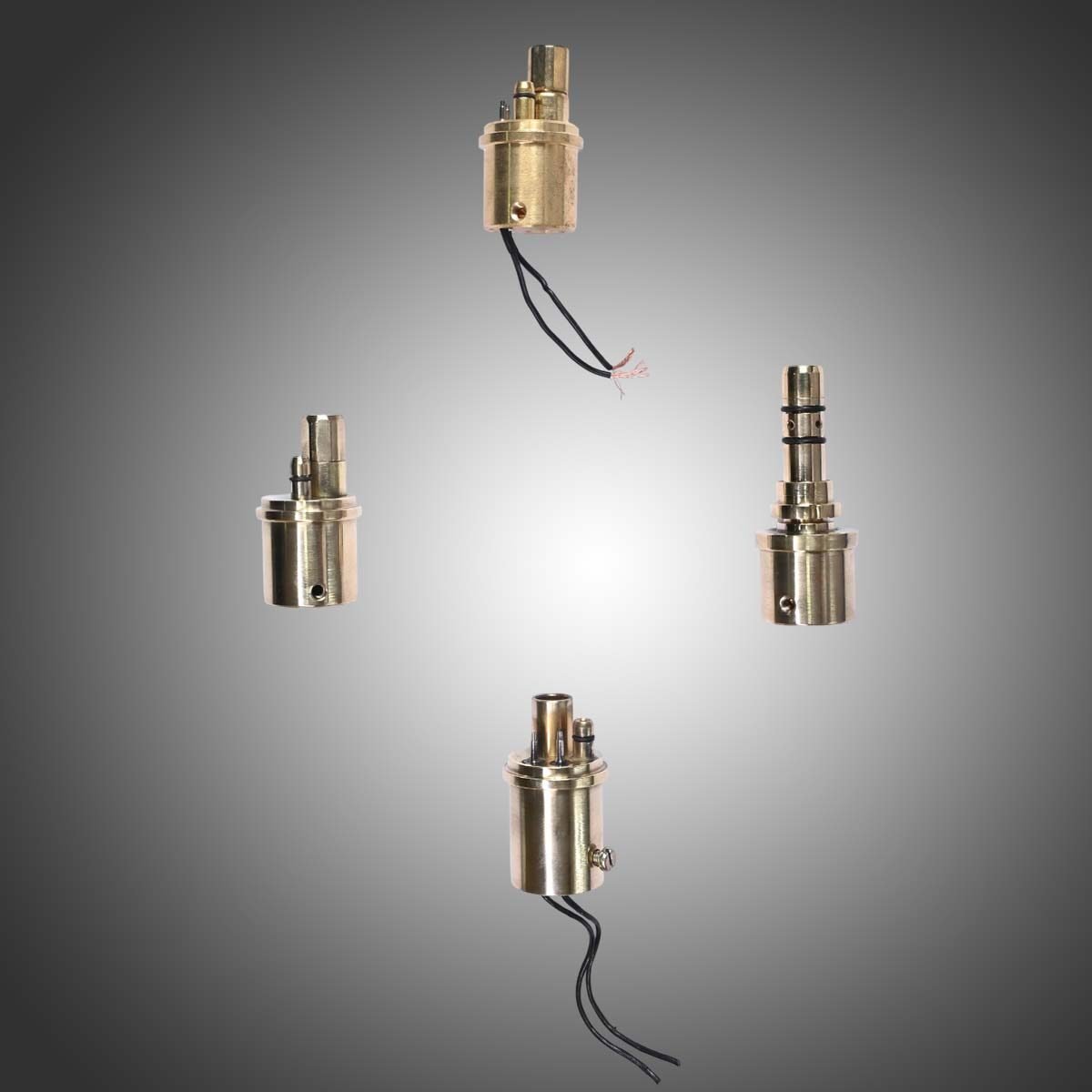 VARIOUS TYPES OF EURO ADOPTERS